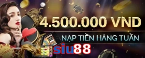 siu88